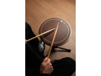 meinl-12_681de29d33a77.jpg