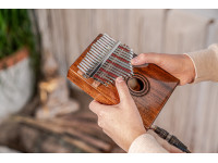 meinl-17-notes-pickup-kalimba-acacia_6708e35ee10e0.jpg