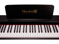 montford-mfdp11_69bab221d4cb5.jpg