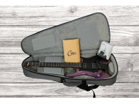 mooer-gtrs-guitars-wing-900-int-api_641dbaec00653.jpg