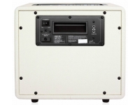 mooer-hornet-modelling-combo-wh_5e5cf19bcda45.jpg