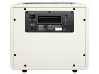 mooer-hornet-modelling-combo-wh_62dea8bce9b73.jpg