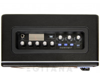 mooer-hornet-modelling-combo_6086d80f66d4a.jpg