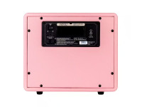 mooer-hornet-pink_6a3a8e3da331b.jpg