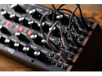 moog-subharmonicon_66264021032c0.jpg