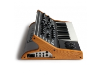 moog-subsequent-25-analog-synthesizer_5e257e6e80f38.jpg