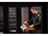 moog-subsequent-37_662243c11d0d0.jpg