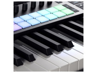 novation-launchkey-61-mk4_67657a35adeac.jpg