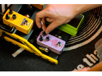 nux-npo-2-tutti-polyphonic-octave-pedal_69c6929e33f59.jpg