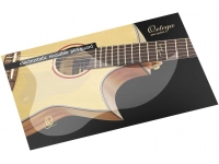 ortega-oerp-reusable-pickguard_5e2f2300e3598.jpg
