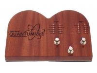 ortega-quantumloop-stomp-box_5da4589711bb0.jpg