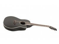 ovation-celebrity-cs24-5-standard_5fdb6caa39bfe.jpg