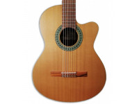 paco-castillo-220-ce-equalizador-cutaway-cedro-sapele_603fb549d8d08.jpg