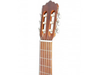 paco-castillo-220-ce-equalizador-cutaway-cedro-sapele_603fb54a8b326.jpg