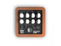 palmer-pocket-amp-acoustic_5fb6464068488.jpg