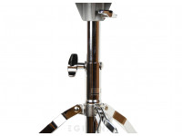 pearl-d-50_60ba63591d4ba.jpg