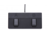 pedal-de-controlo-boss-acs-acoustic-singer-live_6398a78616303.jpg
