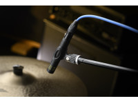 presonus-dm-7_61f13c719d3e2.jpeg