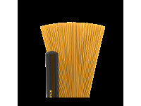 pro-mark-pmnb5b-brushes-5b_66043337a172f.jpg