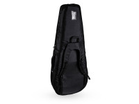 protection-racket-electric-guitar-case_65c4a0c2cec2b.jpg