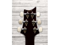 prs-custom-24-35th-anniv-fr_5ff75268ece67.jpg