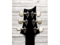 prs-custom-24-35th-anniv-wb_5ff4829a81f44.jpg