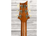 prs-custom-24-yellow-tiger_68f8a8a27925e.jpg