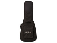 prs-dustie-waring-ce-floyd-grey-black_66ffc49de08d0.jpg
