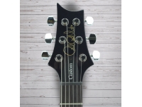 prs-s2-custom-22-whale-blue_5c5aecb012291.jpg