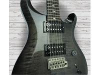 prs-s2-custom-24-elephant-gray_5caccff975318.jpg