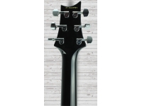 prs-s2-custom-24-elephant-gray_5caccffdc41be.jpg