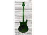 prs-s2-custom-24-eriza-green_6380c9cfa9c39.jpg