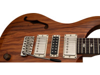 prs-s2-special-s-h-reclaimed-ltd_69652a5b6ed63.jpg