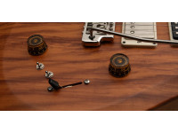 prs-s2-special-s-h-reclaimed-ltd_69652a5d6ea16.jpg
