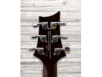 prs-se-245-standard-ts_6093cd94e2801.jpg