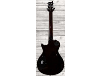 prs-se-245-standard-ts_6093cd965db09.jpg