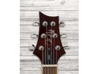 prs-se-245-standard-ts_6093cd9a115a4.jpg