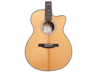 prs-se-a50e_5e5d1a243bfa5.jpg