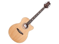 prs-se-ax20e_5e5d14c0a826a.jpg