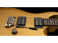 prs-se-ce24-standard-satin-metallic-gold-2025_68dfdacb346c5.jpg