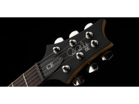 prs-se-ce24-standard-satin-metallic-gold-2025_68dfdad17213c.jpg