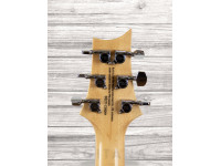 prs-se-custom-22-semi-hollow-sy_609a6feef05c6.jpg
