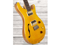 prs-se-custom-22-semi-hollow-sy_609a6fefdf04a.jpg