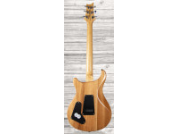 prs-se-custom-22-semi-hollow-sy_609a6ff0d9d5a.jpg