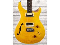 prs-se-custom-22-semi-hollow-sy_609a6ff1d08d5.jpg