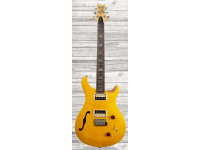 prs-se-custom-22-semi-hollow-sy_609a6ff2c78ab.jpg