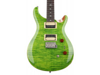 prs-se-custom-24-08-ev_61361051e679d.jpg