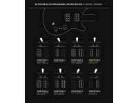 prs-se-custom-24-08-lm-exotic-ltd_67f8eeec0b5f1.jpg