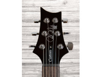 prs-se-custom-24-bg_6089282dd0965.jpg