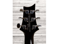 prs-se-custom-24-bg_6089282ec5536.jpg